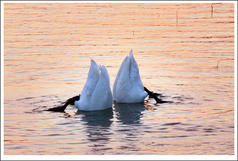 2013��12��28��ƽ½�������Ƭ ����2681.jpg