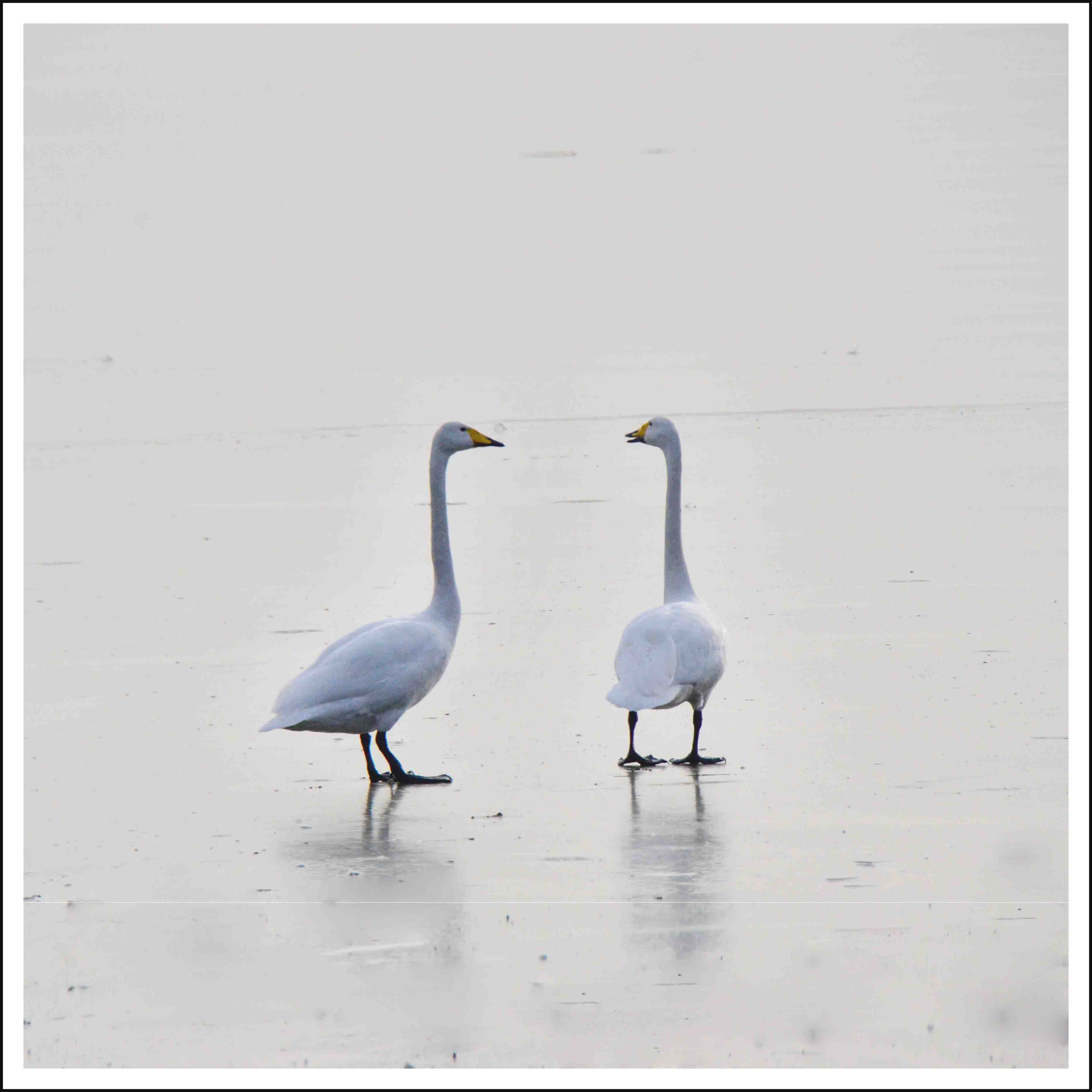 2013��12��28��ƽ½�������Ƭ ����001.jpg