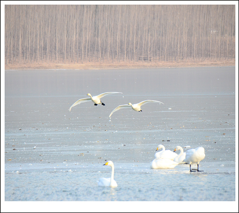 2013��12��28��ƽ½�������Ƭ ����013.jpg