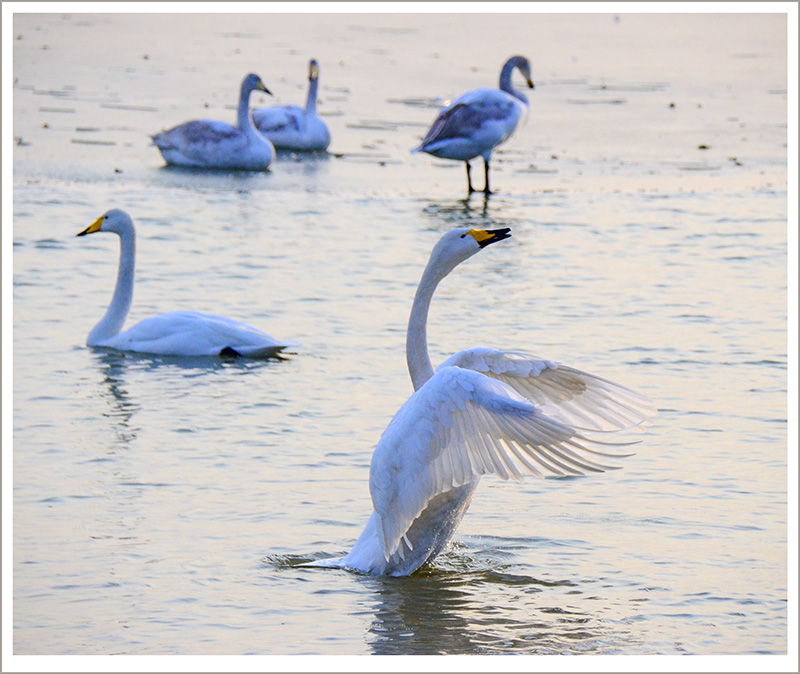 2013��12��28��ƽ½�������Ƭ ����19.jpg