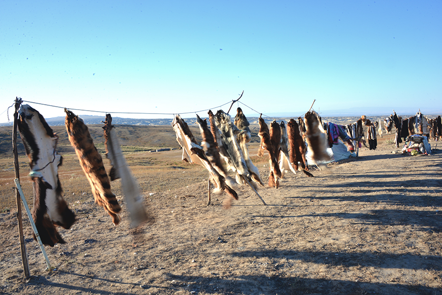 ���а����ľ�����