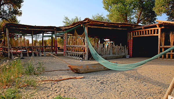 �޲��˴���Ķ�ľ�ۺ�����