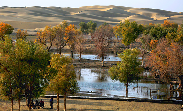 ����.����.ɳĮ