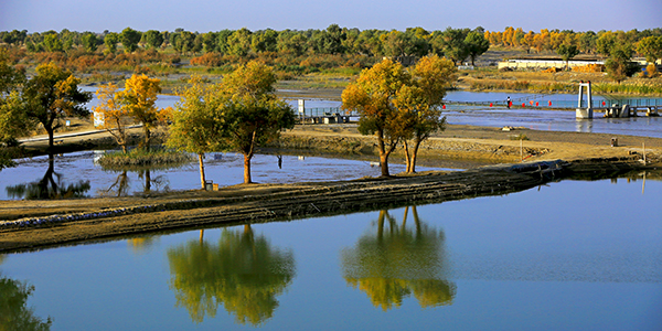 Զ������ľ�Ӻ�����