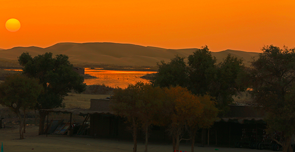 ɳɽ�Ͽ�����