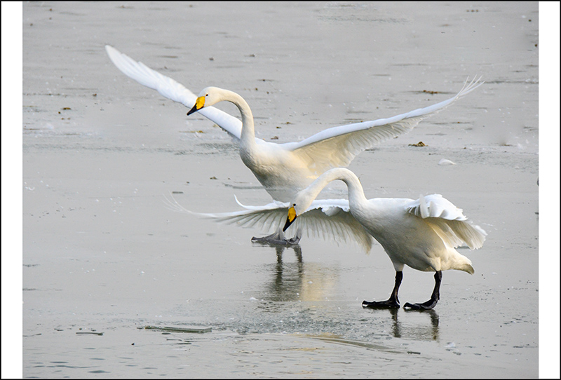 2013��12��28��ƽ½�������Ƭ ����0421.jpg