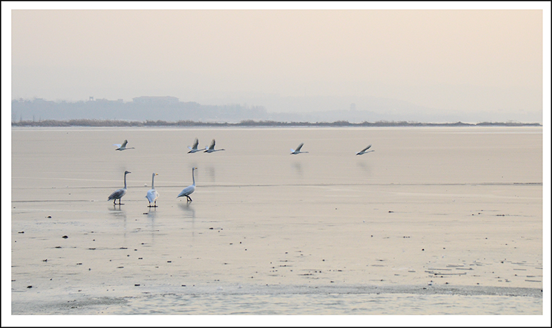 2013��12��28��ƽ½�������Ƭ ����23.jpg