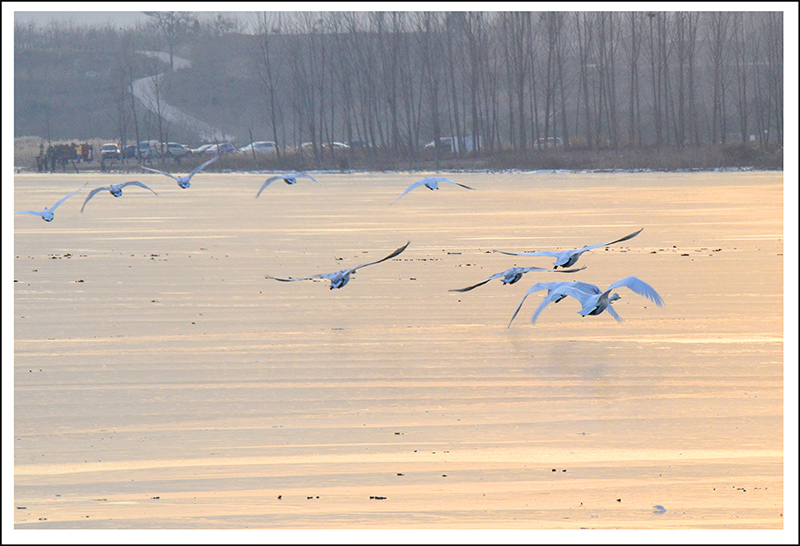 2013��12��28��ƽ½�������Ƭ ����29.jpg