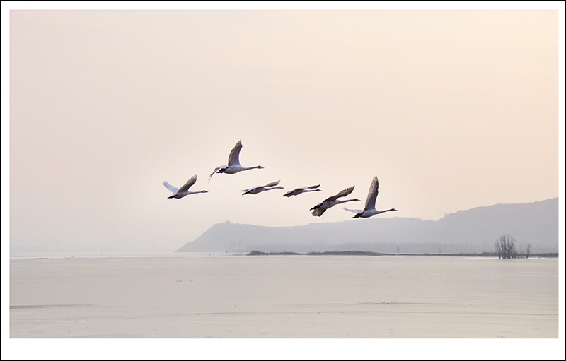 2013��12��28��ƽ½�������Ƭ ����0741.jpg