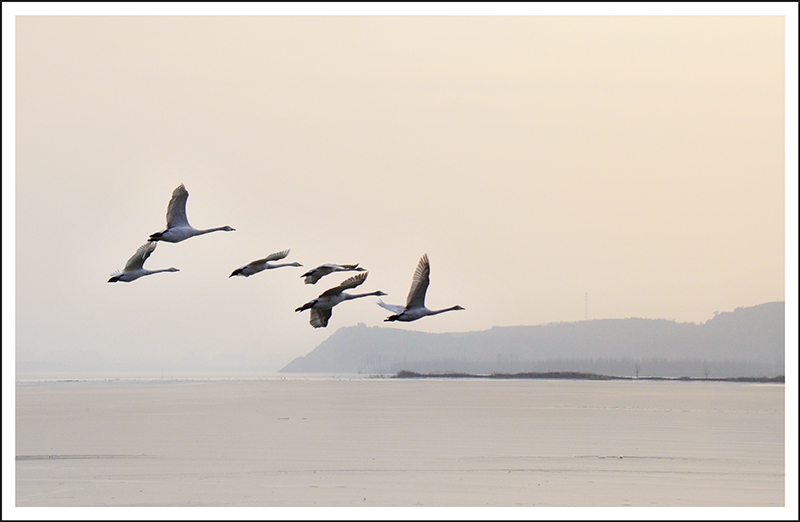 2013��12��28��ƽ½�������Ƭ ����0731.jpg