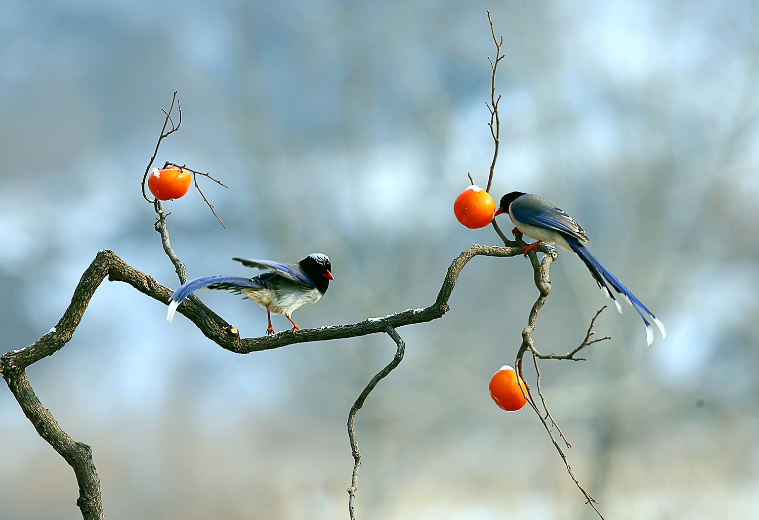 05 - ����.jpg