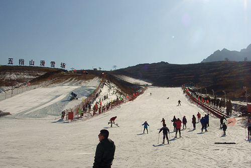 ��ָɽ��ѩ��