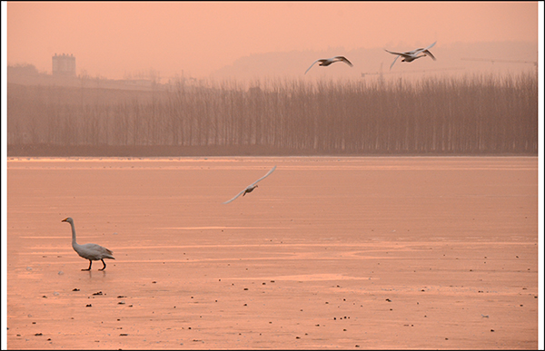 2013��12��28��ƽ½�������Ƭ ����3041.jpg