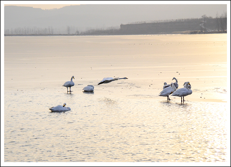 2013��12��28��ƽ½�������Ƭ ����1071.jpg