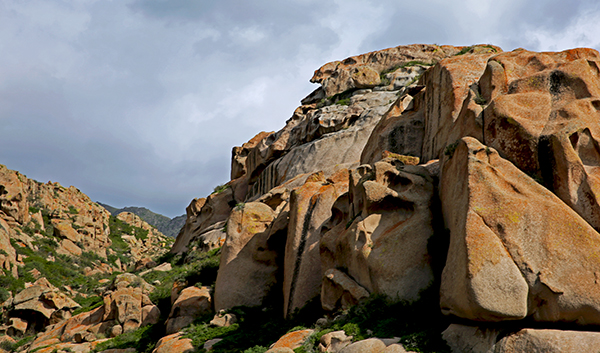 ������ɽ