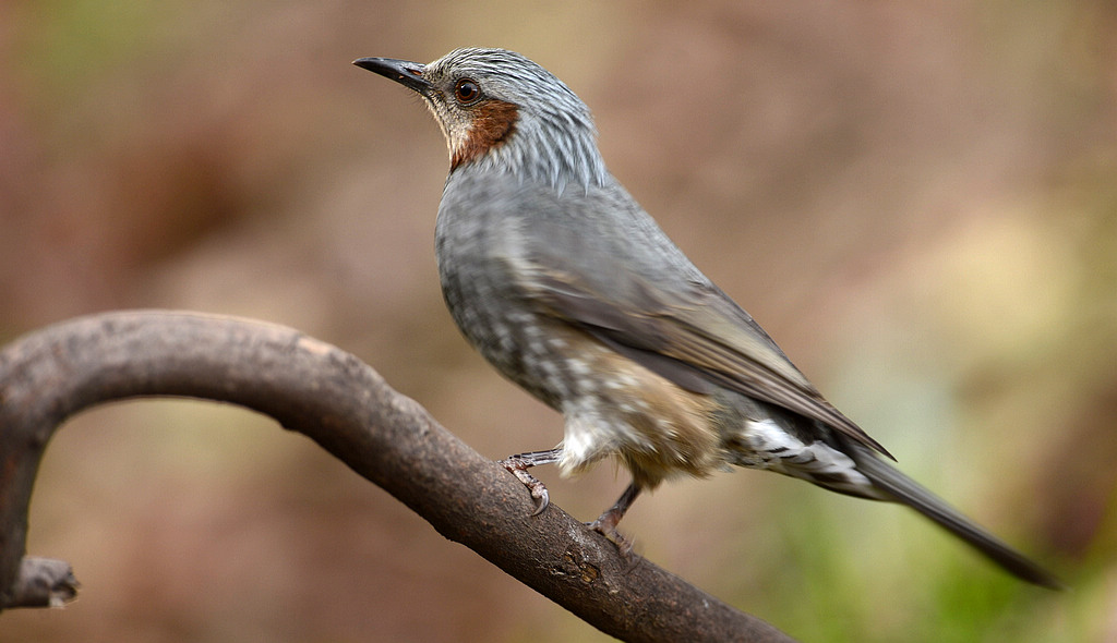 DSC_2829  1.jpg