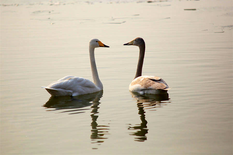 ���� (6).jpg