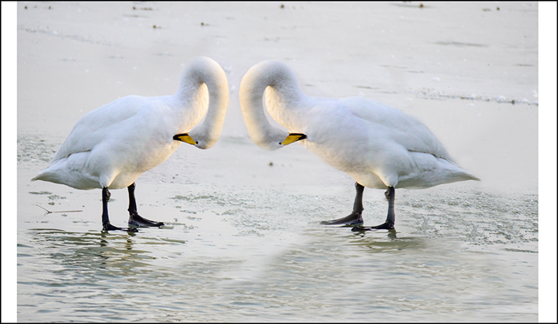 2013��12��28��ƽ½�������Ƭ ����1141.jpg