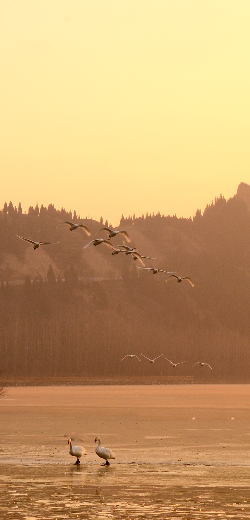 2013��12��28��ƽ½�������Ƭ ����5321.jpg