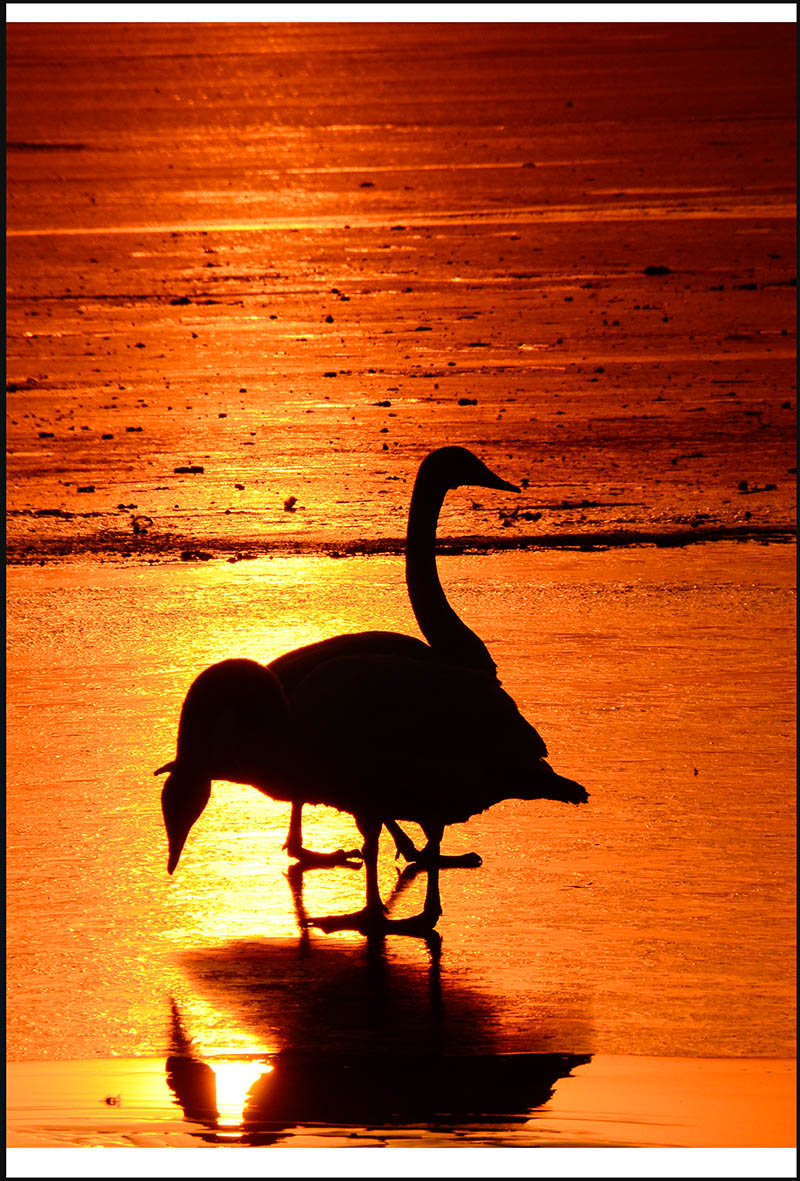 2013��12��28��ƽ½�������Ƭ ����4871.jpg