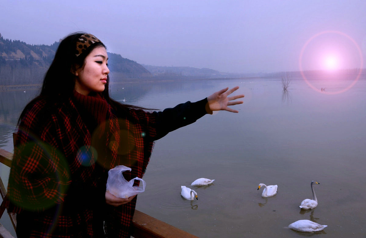 �ڽ̰����ʥ