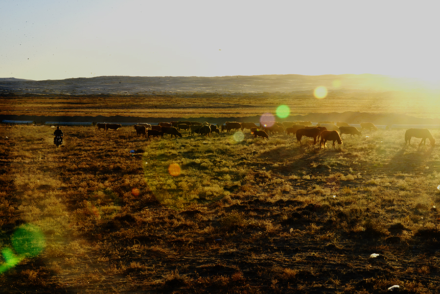 �ִ�������