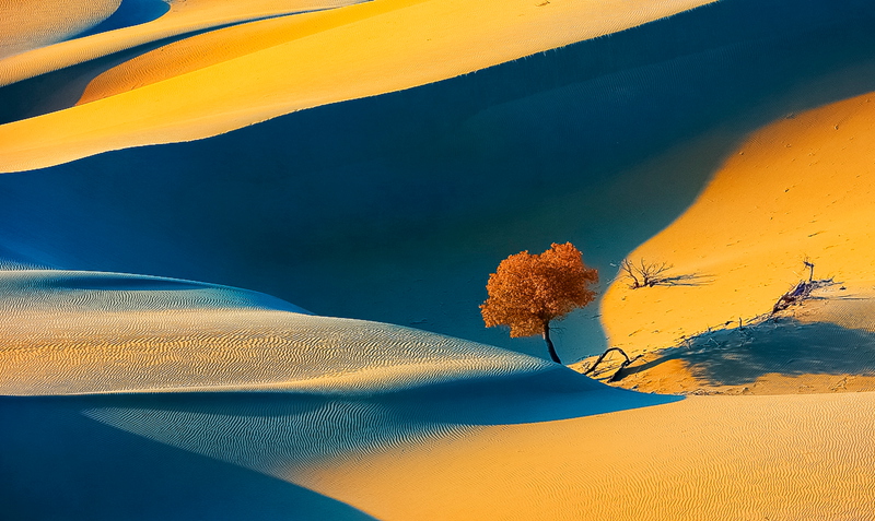 ɳ���е����� .jpg