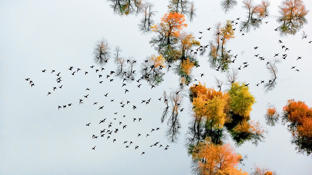 ����ӭ��        .jpg