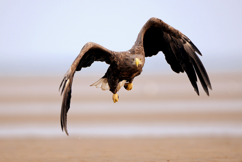 4DSC_1288.jpg