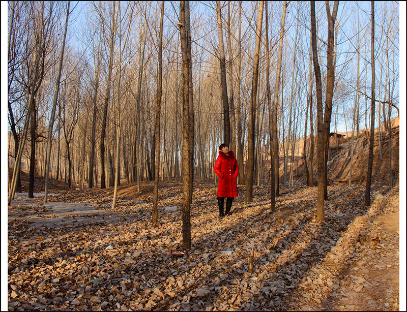 2014��1��22����С������Ƭ���� 1021.jpg