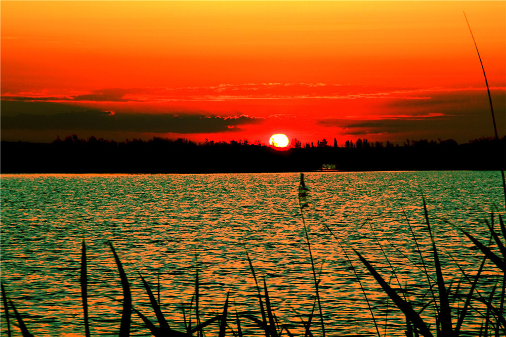 ��ʵ���ϼ (5).jpg