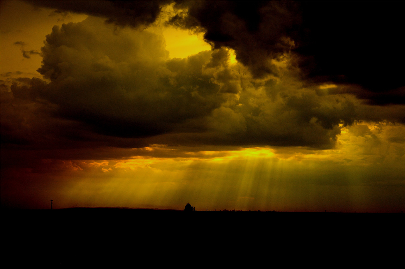 ��ʵ���ϼ (6).jpg