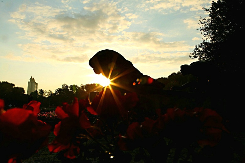 ���ѵ�һ��ĳ���