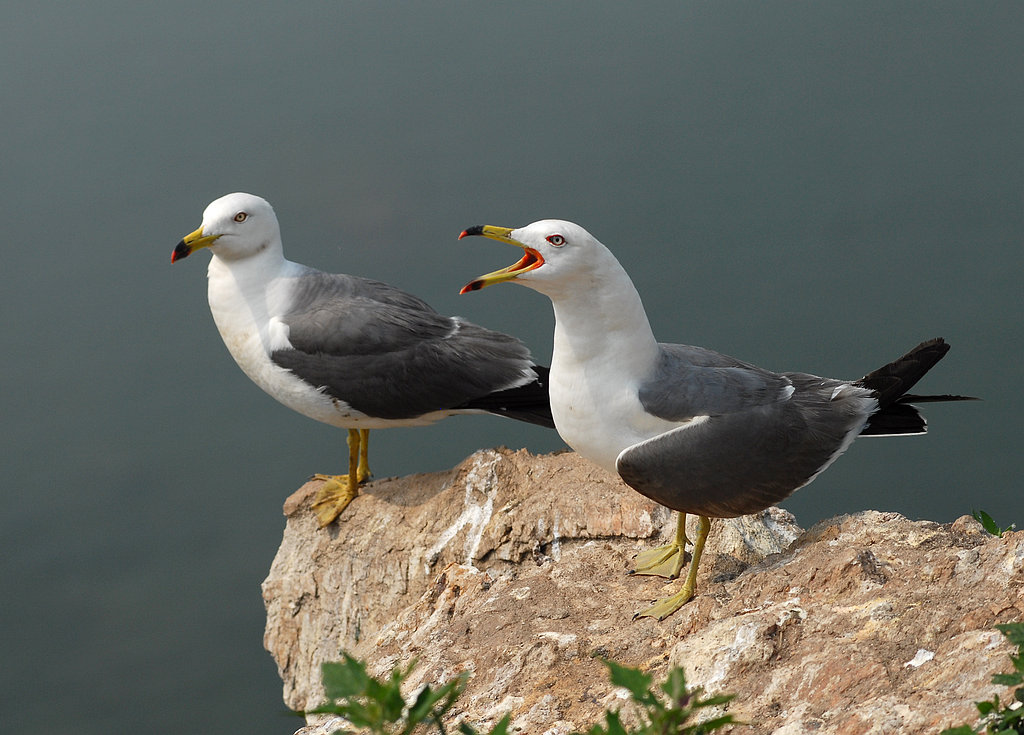 DSC_0847.jpg