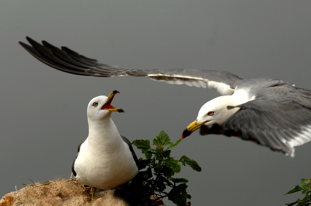 DSC_0904.jpg