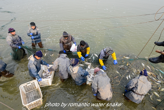 DSC_8001 - ����.jpg