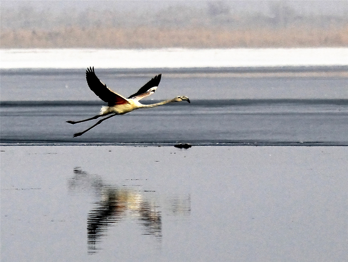 ������ (4).jpg