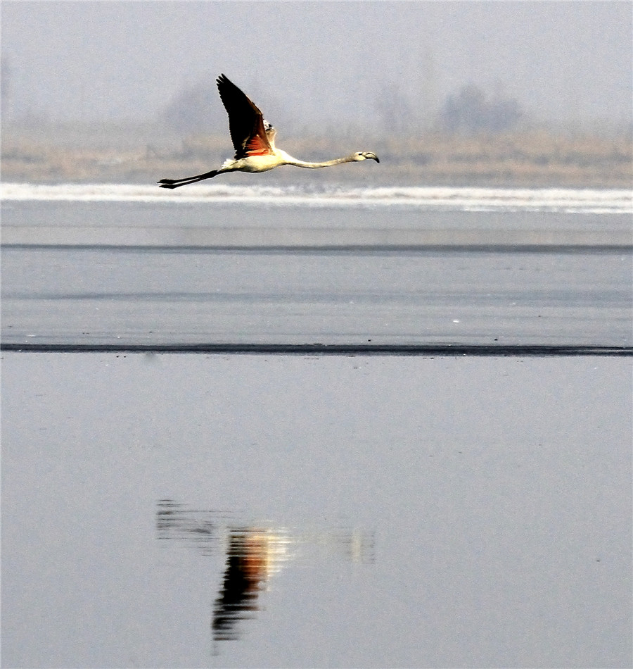 ������ (5).jpg