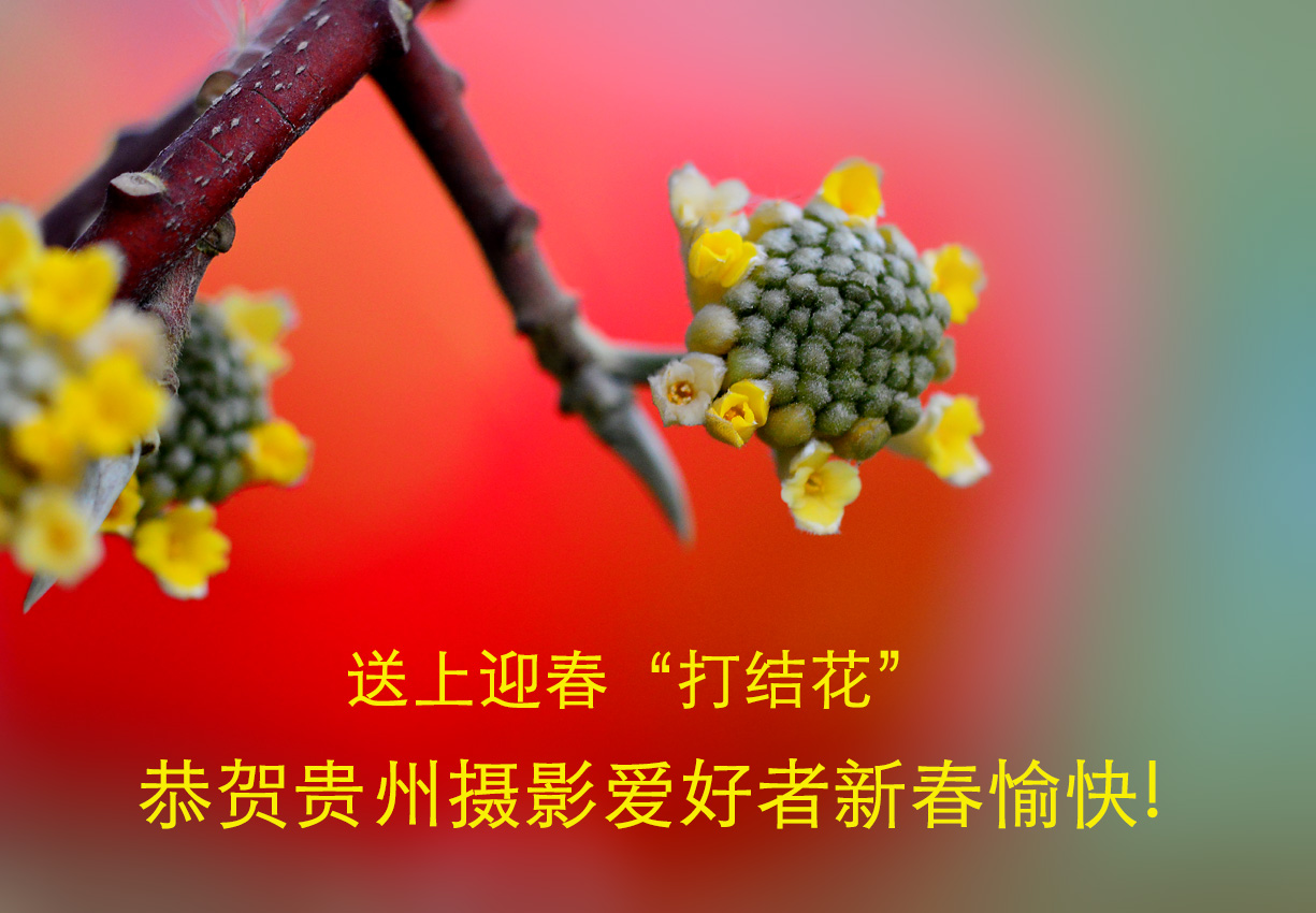 DSC_4423 ����A.jpg