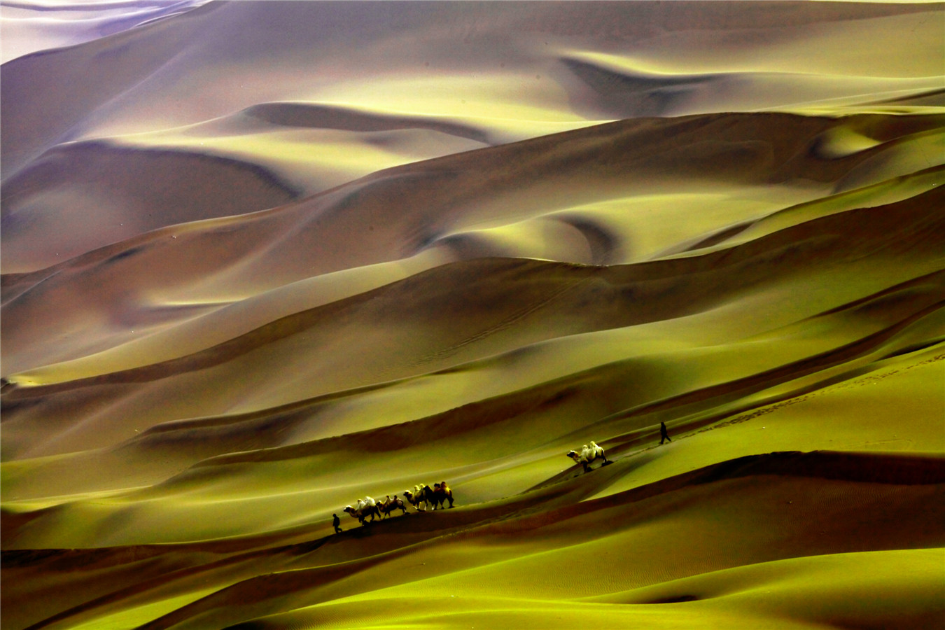 ɳĮ֮�� (1).jpg