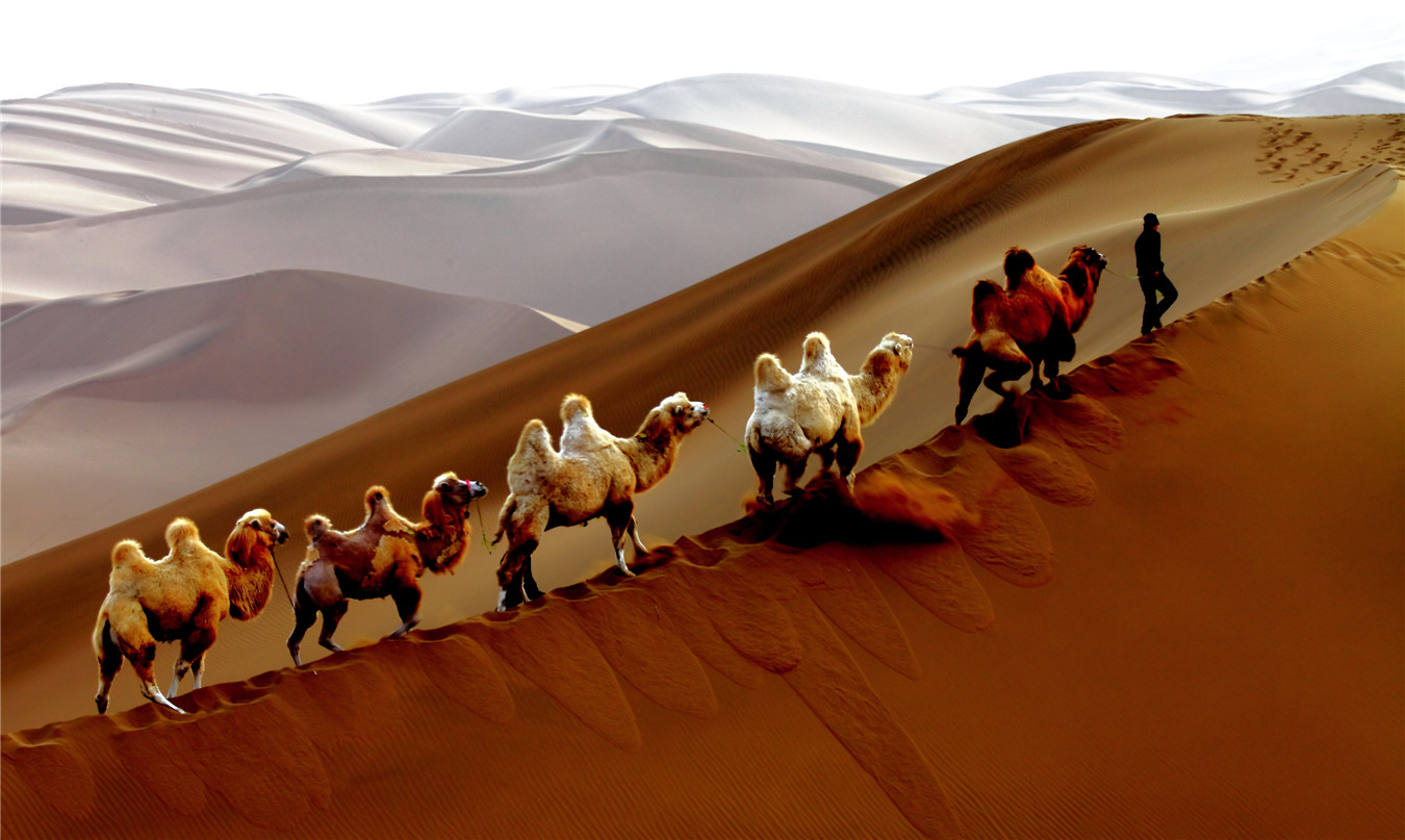 ɳĮ֮�� (2).jpg