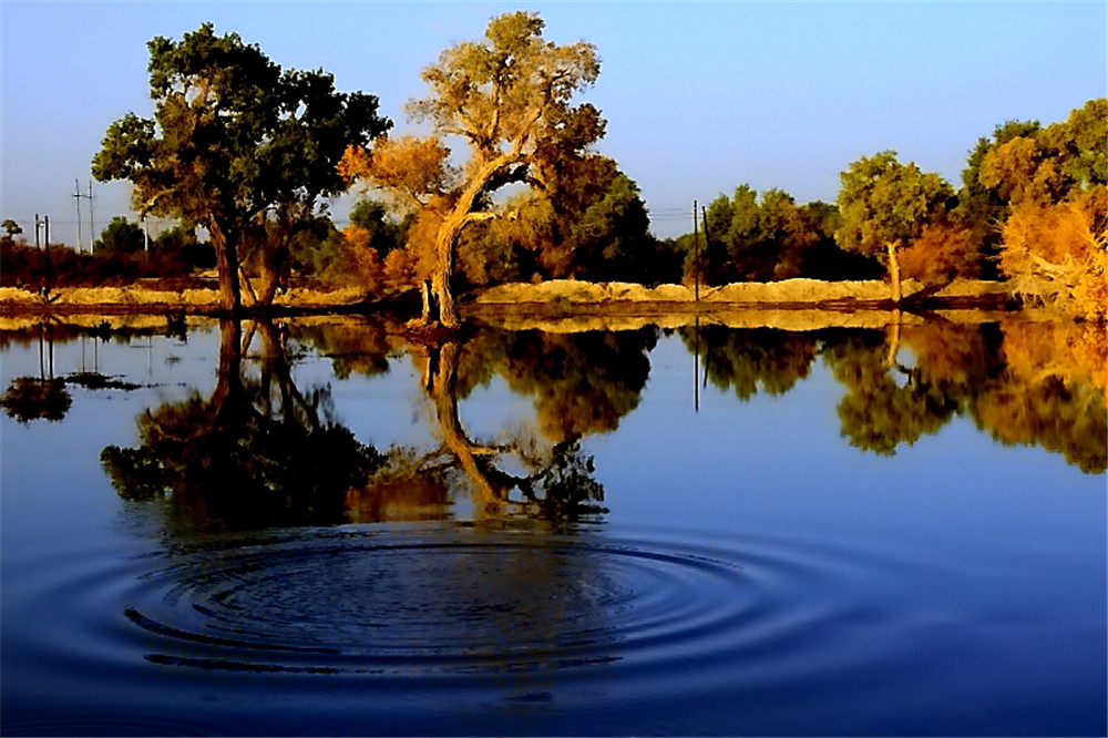 ���Ӱ (1).jpg