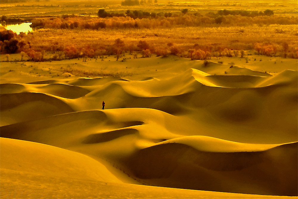 ɳĮ���� (2).jpg