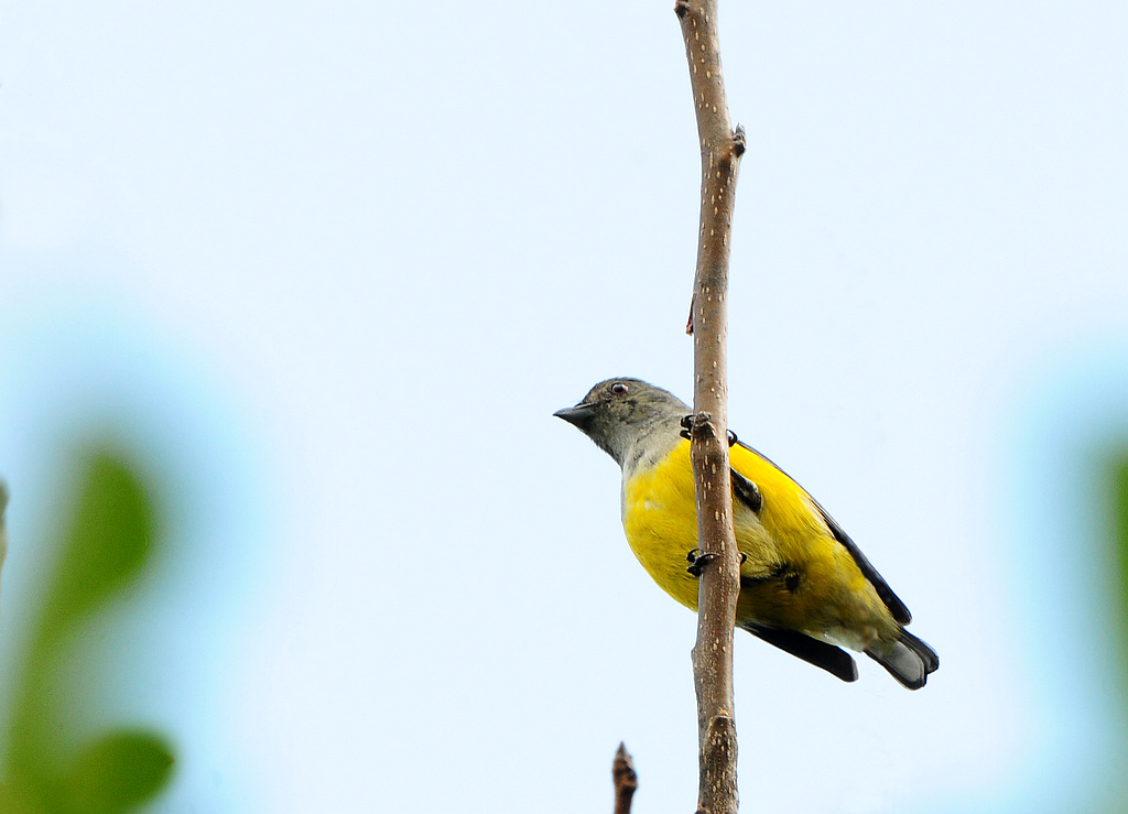 DSC_0805  3.jpg