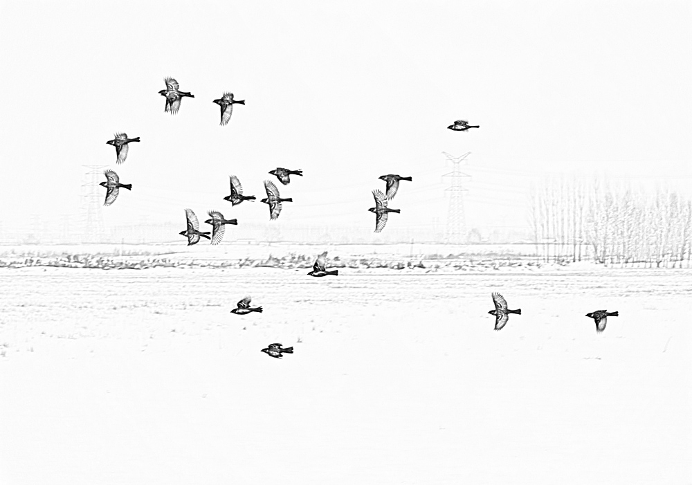 ���� (2) IMG_6522.JPG