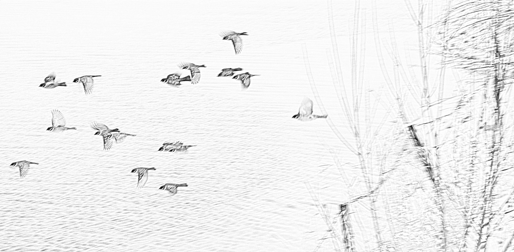 ���� ���� IMG_6526.JPG