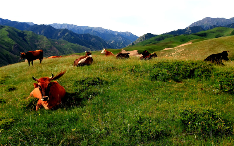 ������ˮ�� (2).jpg