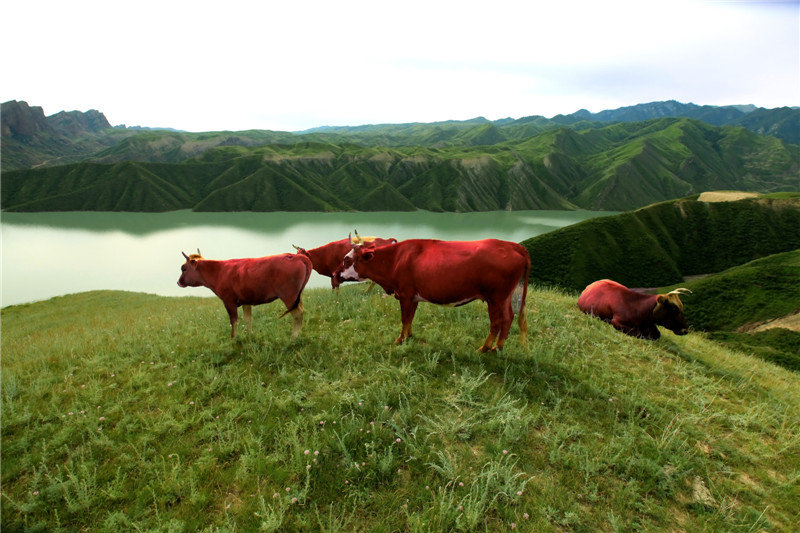 ������ˮ�� (3).jpg