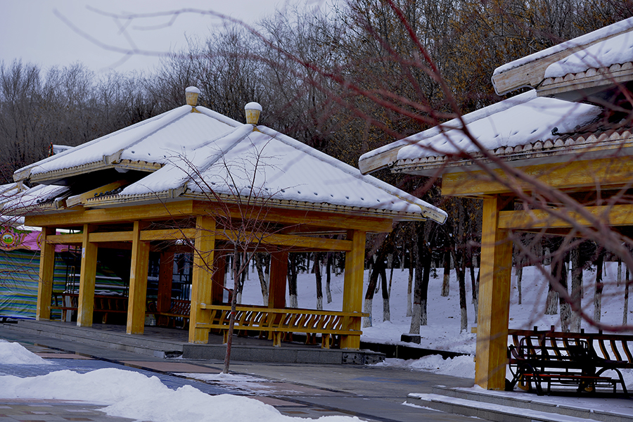 ��ľͥ������ñ