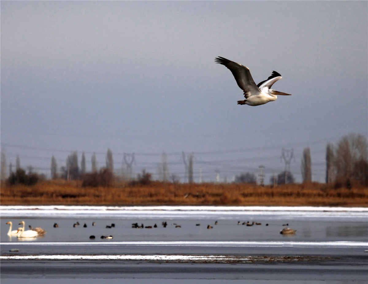 ���� (1).jpg